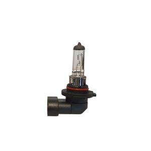 H10 12V 42W Halogen Fog Light Globe
